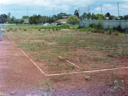 Nature taking over a red porous court