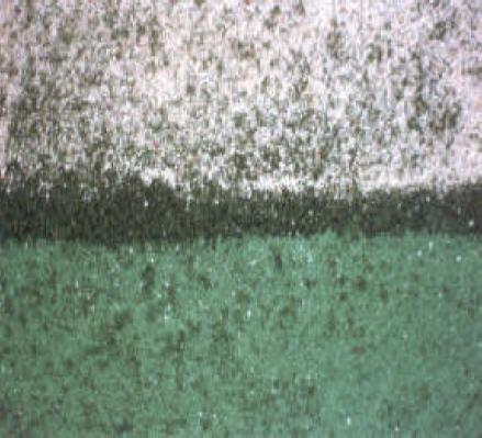 Choice of white or green sand infill