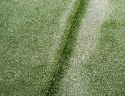 Synthetic grass rucking or rippling