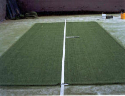 Synthetic grass replacement